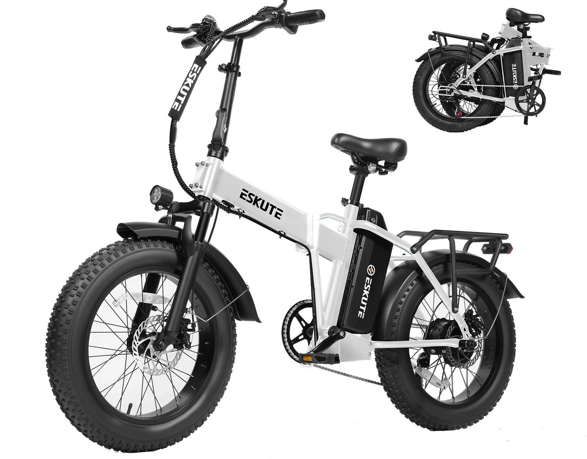 Eskute® D300  Adventurer Ebike