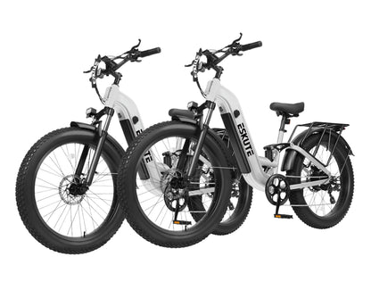 Eskute® Ebike Combo Sale C300R ST *2