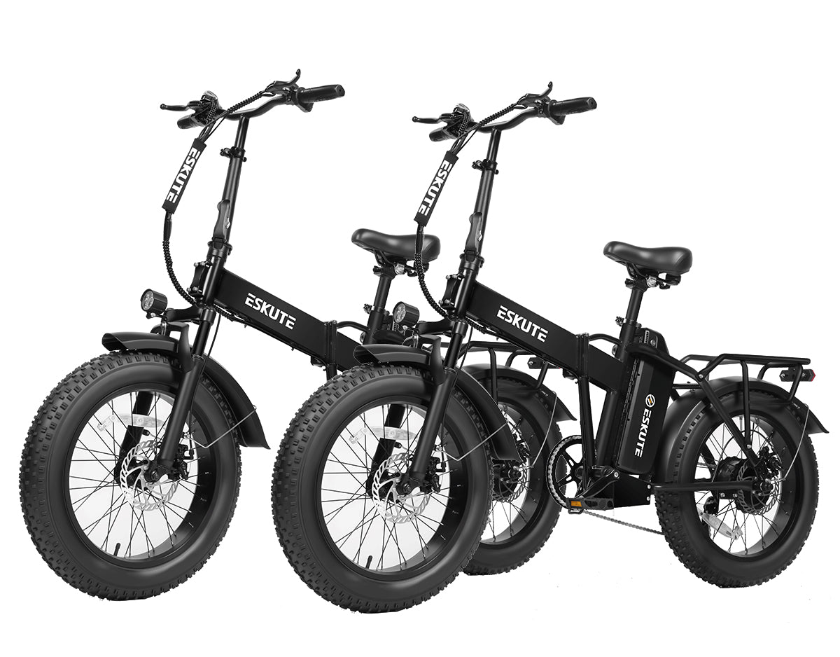 Eskute® Ebike Combo Sale D300 *2