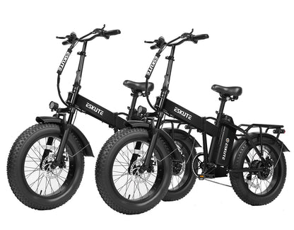 Eskute® Ebike Combo Sale D300 *2