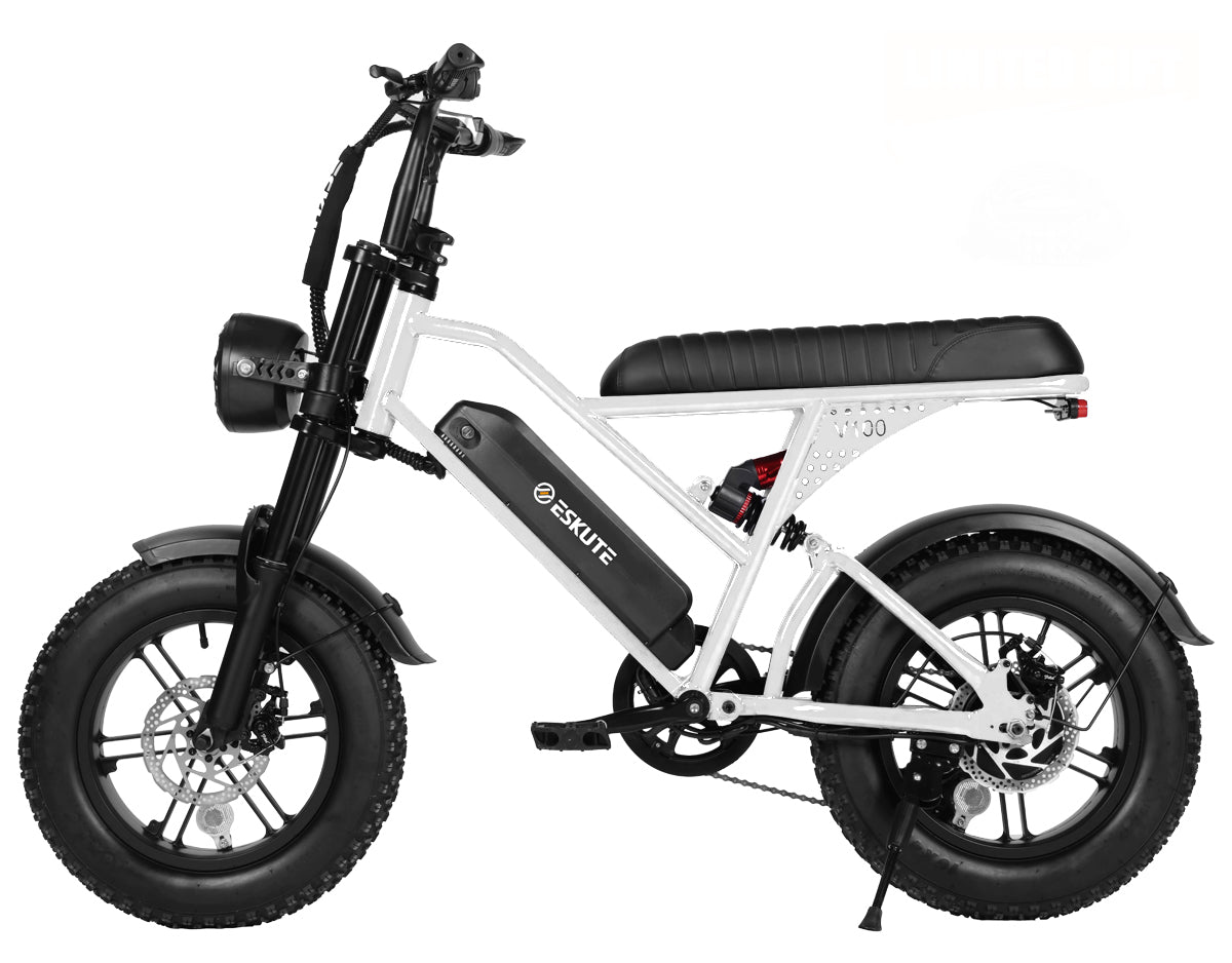 Eskute® V100 16*4.0" Electric Bike for Kids&Teens